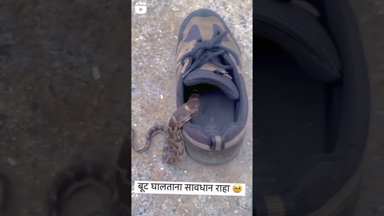 Himanshu Kumar new funny comedy video Savdhan Rahe doston 😃😃😃😃😃😀😀😀