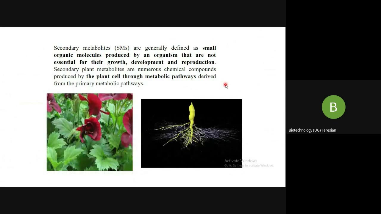 Secondary metabolite production part 1