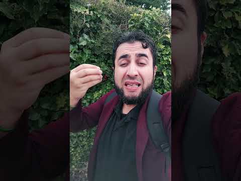 الصحفية نور سليمان افراج عنها وزير الاعلام حمزة مصطفى نور اكسبلور تيك توك ترند