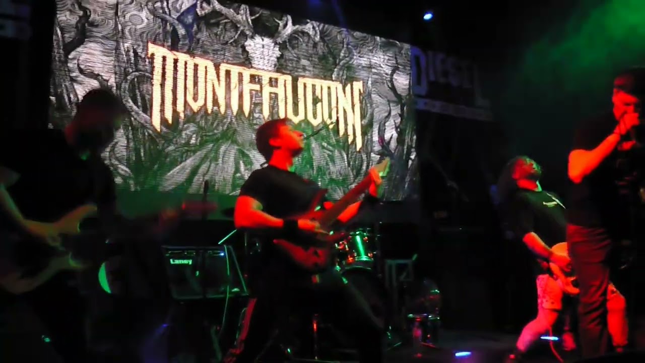 The last day of vinter