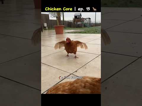 Chicken Core Ep 15 