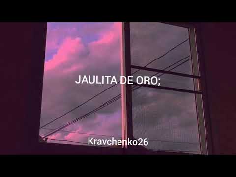 Jaulita de Oro ; Cumbia Ninja // [Letra]