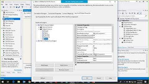 Data Validation in SSIS