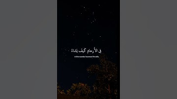 ( ان الله لا يخفى عليه شيء في الارض ولا في السماء ) سوره آل عمران ..عبدالرحمن مسعد #قران_كريم