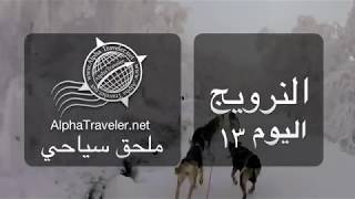 النرويج اليوم ١٣ - زلاجات كلاب الهاسكي في كيركناس