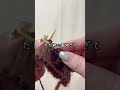 【棒針編み】初めての棒針🧶#shorts #編み物#棒針#編み物初心者#crochet #knitting