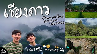 [VLOG] เที่ยวเชียงใหม่ เชียงดาว ดูวิวดอยหลวงที่บ้านนาเลาใหม่ และแวะเที่ยวไปเรื่อย⛰️ | Phu & Pals