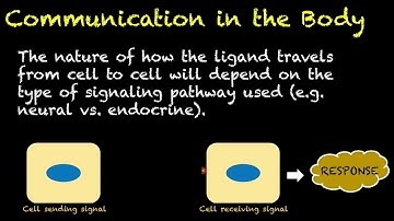 Human Physiology # 33 - Intro. to Cell Signaling