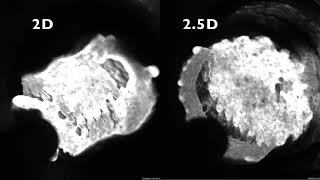 2D vs 2 5D HD