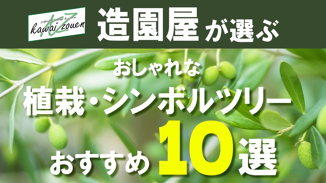 造園屋が選ぶ おしゃれ植栽・シンボルツリー おすすめ10選 - YouTube