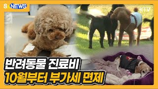 #반려동물 #진료비 10월부터 부가세 면제!