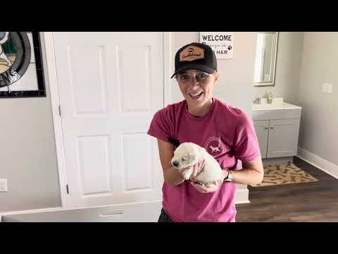 Week 2 Video