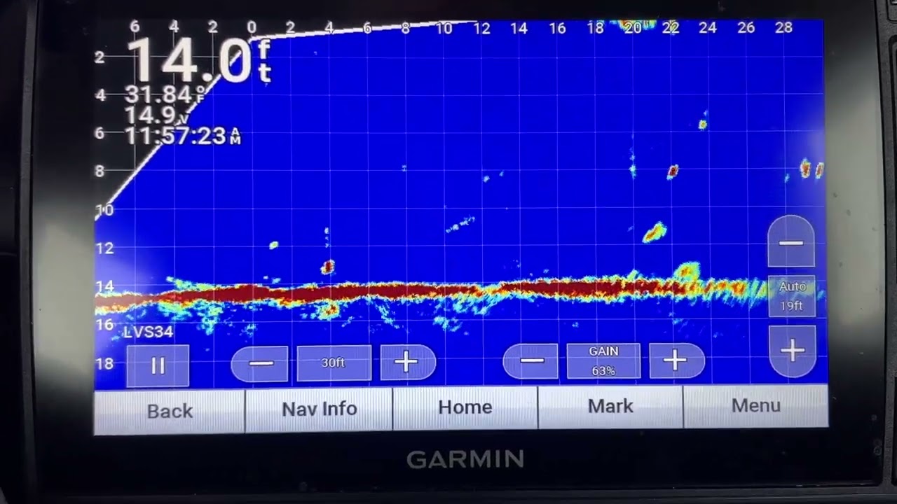 Livescope LV34 transducer