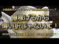 水瓶座新月・自分の心に芽生えた想いを大切にね🌿豊かさの価値観は人それぞれです。自分の夢や仕事に誇りを持ってください。そうすると水瓶座新月【金環日食】の天空上の天体たちのエネルギーと共振出来るからね🌟