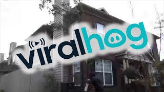 Thief Caught in Act || ViralHog
