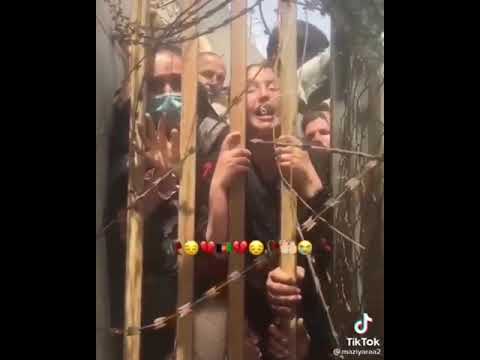 вот как талибан мучит девушки девушки хотят сбежать из Афганистана