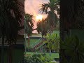 Live highlight good evening বন্ধুরা #trending #flowers #nature #live #love