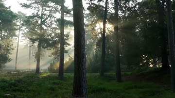تلاوة مذهلة من سورة الصافات - أحمد العبيد 💜