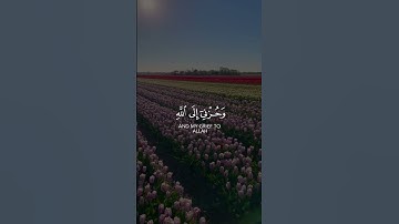 القارئ سعيد الخطيب ﴿قَالَ إِنَّمَاۤ أَشۡكُوا۟ بَثِّی وَحُزۡنِیۤ إِلَى ٱللَّهِ ﴾
