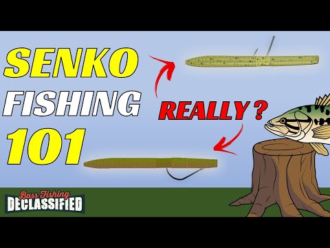 Everything You Need To Know About Fishing A Senko In The Spring