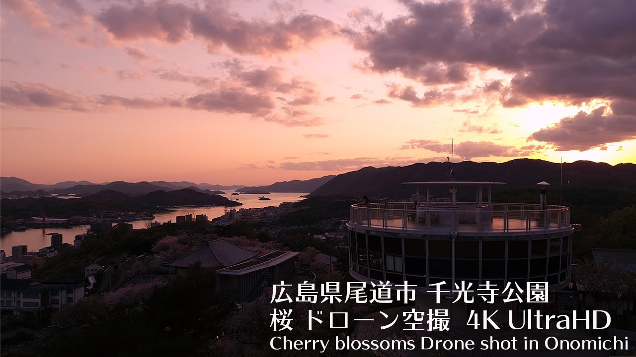 ONOMICHI SAKURA 4K ドローン空撮 広島県尾道市千光寺公園 - YouTube