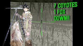 UNBELIEVEABLE Coyote Double Kill!! - 7 Coyotes and 1 Fox BITE THE DUST!! Thermal Hunting