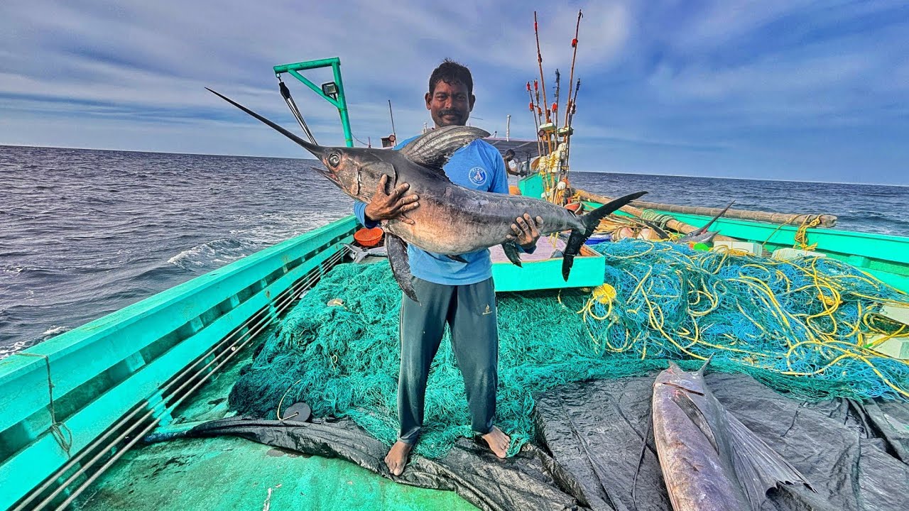 Ohh❗Fourth Day Unbelievable Catches 💢 Full video Capture 🤩 INDIAN FISHING ADVENTURES 