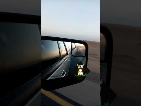 لطيفة الجنوب 60