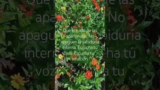 La paz proviene del tener solo del Ser. Ser feliz es la.razón del Se #Ser #amor #frases #reflexion