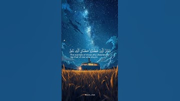 اسمعها بقلبك ❤️ تلاوة تهز المشاعر بصوت #مشاري_العفاسي 🌿 #سورة_البقرة #قرآن_كريم #راحة_نفسية #quran