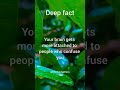 your brain gets more attached #shorts #facts