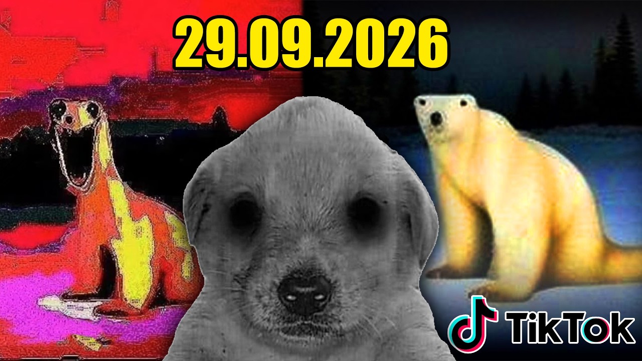 ¿QUE PASO CON ESTE OSO POLAR? - 29.09.2023 (Terror Analogico)