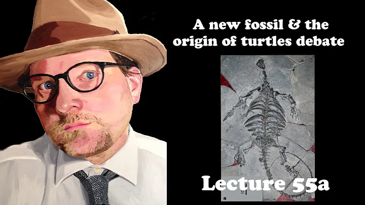 Lecture 55a A new fossil in the origin of turtle d...