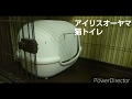 猫のトイレはどのメーカーのがよい？