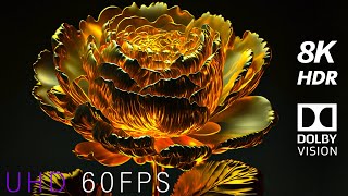 Amazing 8K 60Fps 'Bloom' Hdr Dolby Vision