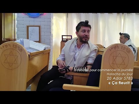 3MN DE TORAH POUR COMMENCER LA JOURNÉE - ÇA FLEURIT