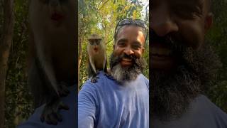 Oh My Ghana 🐒 @EcotalkwithBrandon