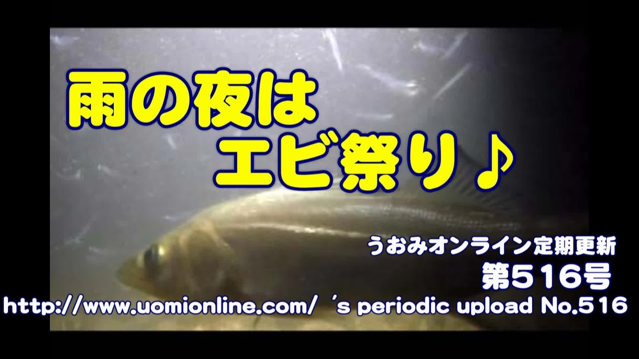 雨の日は釣れるってホント 水中動画の定期更新no 516 Youtube 雨の日は釣れるってホント 水中動画の定期更新no 516 Youtube