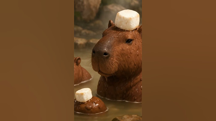 "Chocolate Marshmallow Capybara Melts into a Sweet Chocolate Onsen! #capybara #cute"