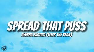 Ayesha Erotica - Spread That Puss (Audio) 