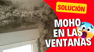 ¿Abrir una ventana ayuda con el moho?