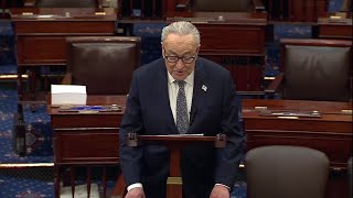 Chuck Schumer: Don Lemon's arrest is evidence Trump admin behaving like 'police state'