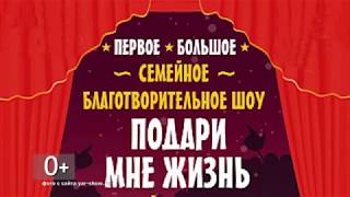 Благотворительное шоу "Подари мне жизнь". Военно-полевой кинотеатр КЗЦ. Афиша Благотворительное шоу "Подари мне жизнь". Военно-полевой кинотеатр КЗЦ. Афиша