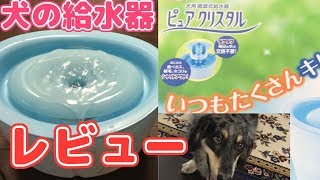 ピュアクリスタル！犬用の給水器が凄すぎた・・・【ミックス犬くう】Mixed breed dogs Qoo