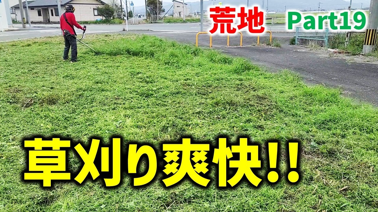 お庭の草刈りに 庭の草刈りは梅雨前が正解。雑草除去が楽になる園芸用品6選 - zakⅡ