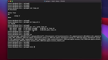 Mac OS Terminal - kill