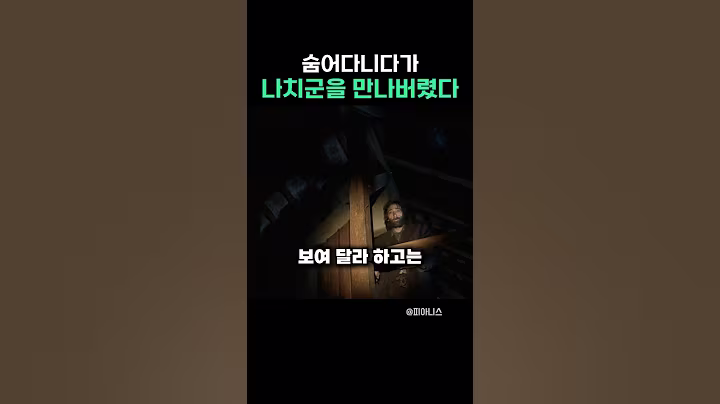 숨어다니다가 나치군을 만나버렸다