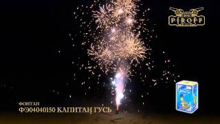 ФЭ04040150 Капитан гусь