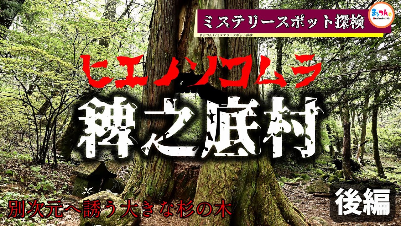 稗之底村 後編 -別次元へ誘う大きな杉の木-【まッつんのミステリースポット探検】