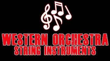 WESTERN ORCHESTRA (STRING INSTRUMENTS)